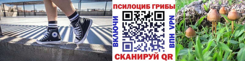 Псилоцибиновые грибы прущие грибы  дарк нет официальный сайт  Фокино  наркота 